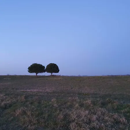 Mediterranean House *