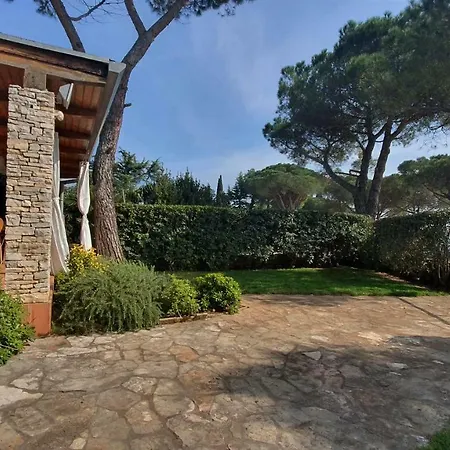 Mediterranean House *