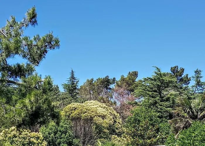 Vikendica Mediterranean House