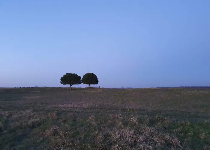 Mediterranean House *