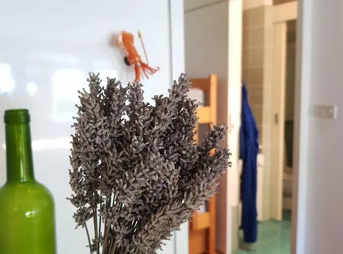 Mediterranean House Дом отдыха Умаг