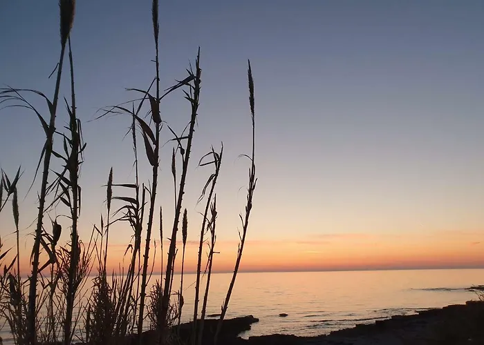 Дом отдыха Mediterranean House *