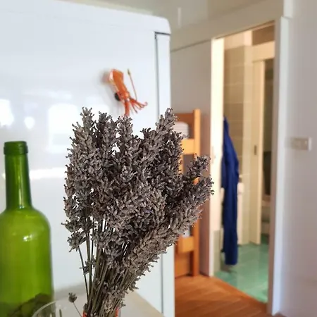 Mediterranean House 度假居 乌马格