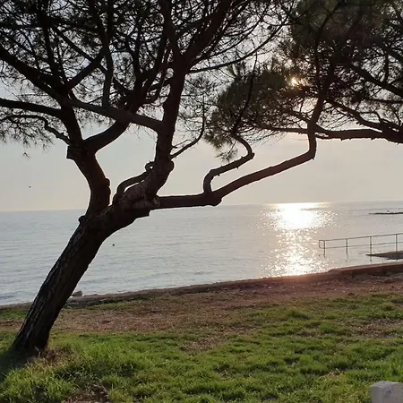 Mediterranean House 度假居